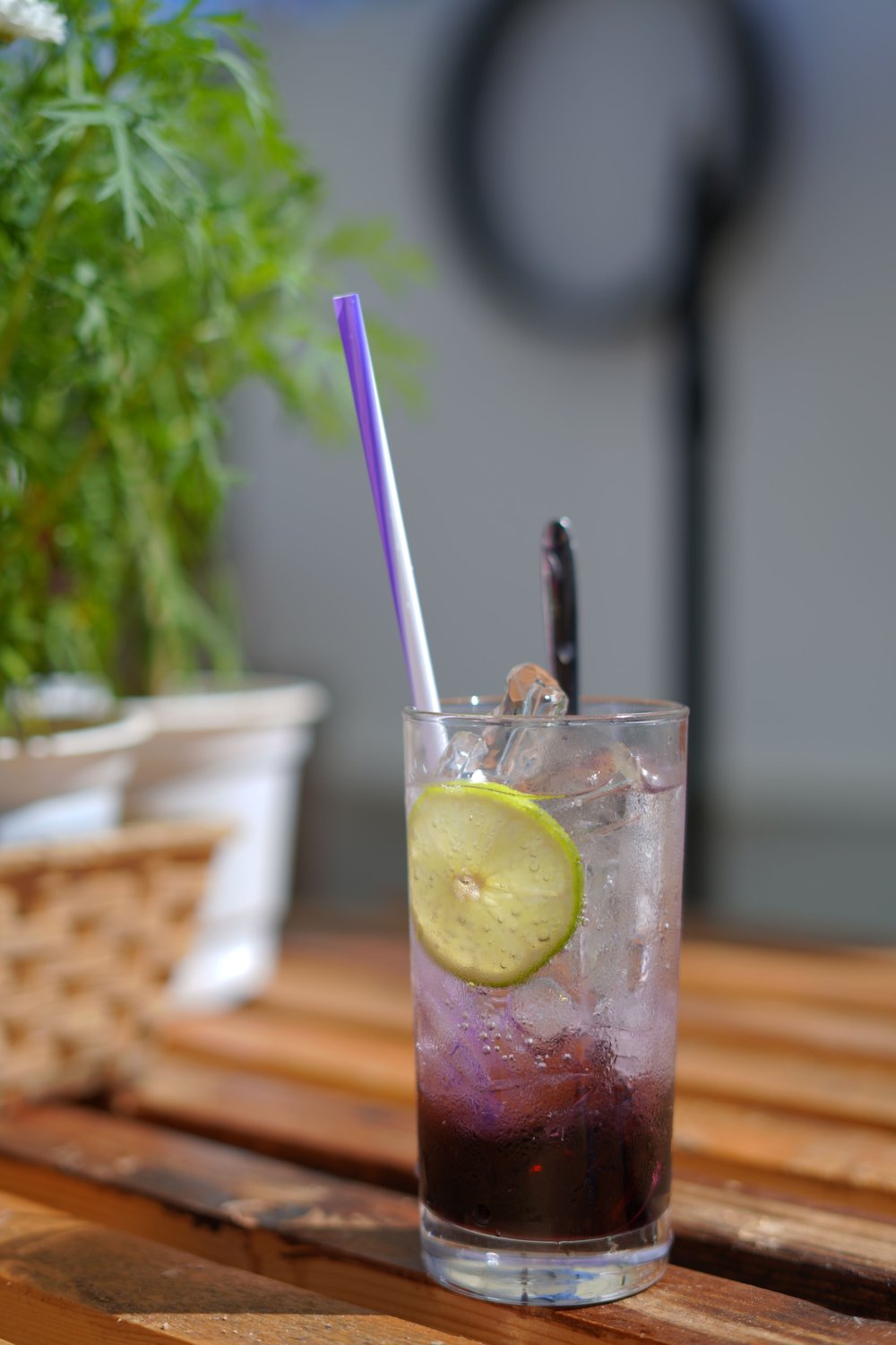 Blueberry Mojito